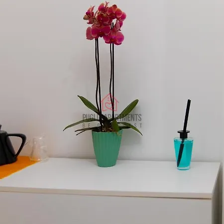 Apartment Yhellow - Puglia